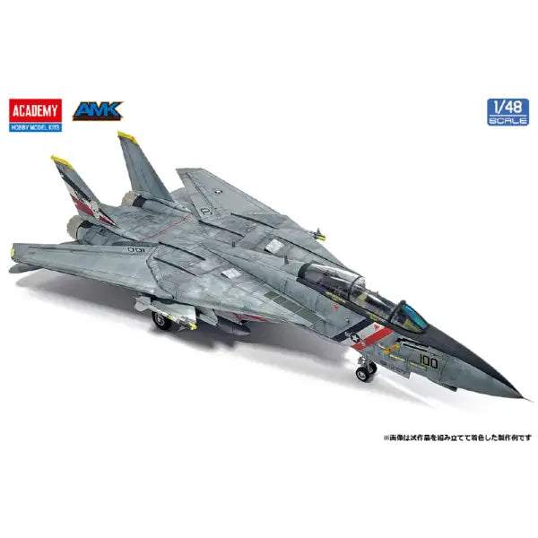 Academy 12370 Grumman F-14 D Tomcat - US Navy VF-2 Bounty Hunters 1/48 – obrázek 6