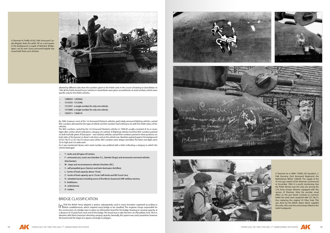 AK Interactive AK130010 VEHICLES OF THE POLISH 1ST ARMORED DIVISION – CAMOUFLAGE PROFILE GUIDE - English – image 2