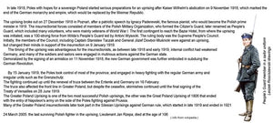 ToRo Model 35F120 Greater Poland Uprising 1918 - Member of the People&amp;#39;s Guard in a sailor uniform 1/35 – image 4