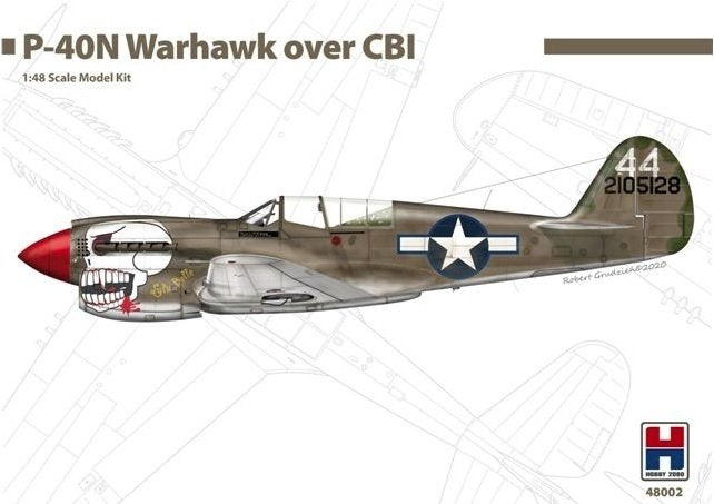 Hobby 2000 48002 P-40N Warhawk Over CBI (China, Burma, India) 1/48