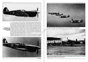 Kagero 3036 Curtiss P-40 vol. I EN – obrázek 2