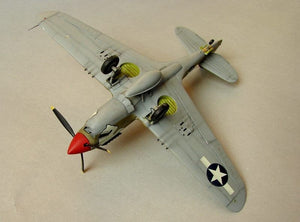 Hasegawa A9 P-40N Warhawk 1/72 – immagine 10