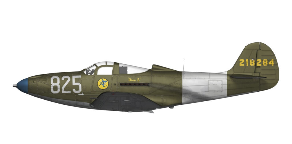 Arma Hobby 40013 P-39 Airacobra RECON 1/48 – Bild 9