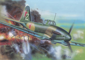Fly 72035 Ilyushin Il-10 Soviet service 1/72 – image 5