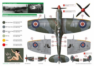 Exito ED48003 DECALS Sexy Spitfires - Supermarine Spitfire LF Mk Vb - VIII - IXe 1/48 – immagine 7