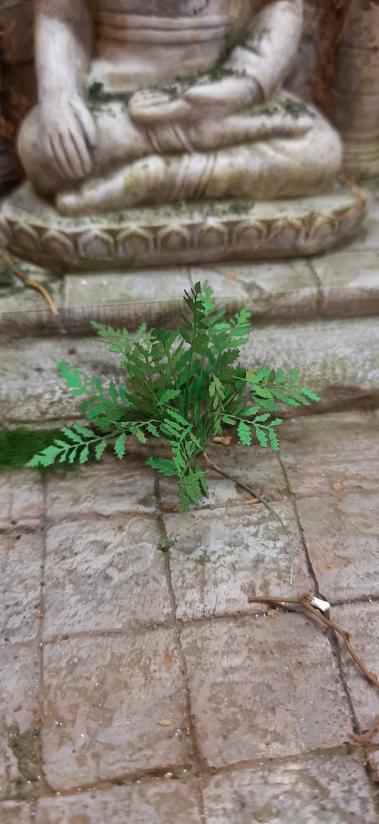 RT-Diorama 35618 Fern No.1 1/35 – image 3
