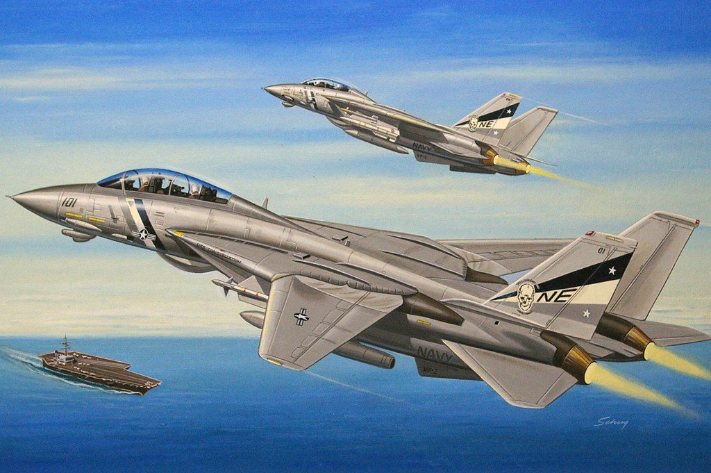 Hobby Boss 80278 F-14d Super Tomcat 1/72