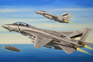 Hobby Boss 80278 F-14d Super Tomcat 1/72