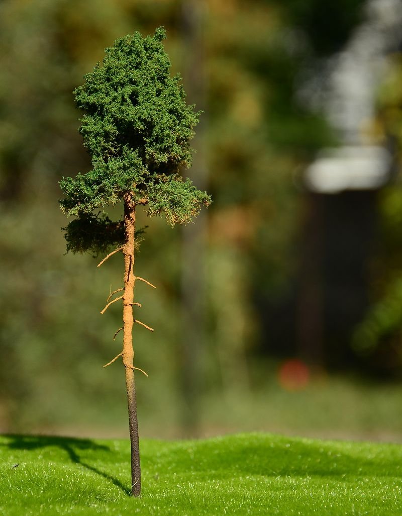 FREON SOM4 Young pine - Young pine 25/28cm