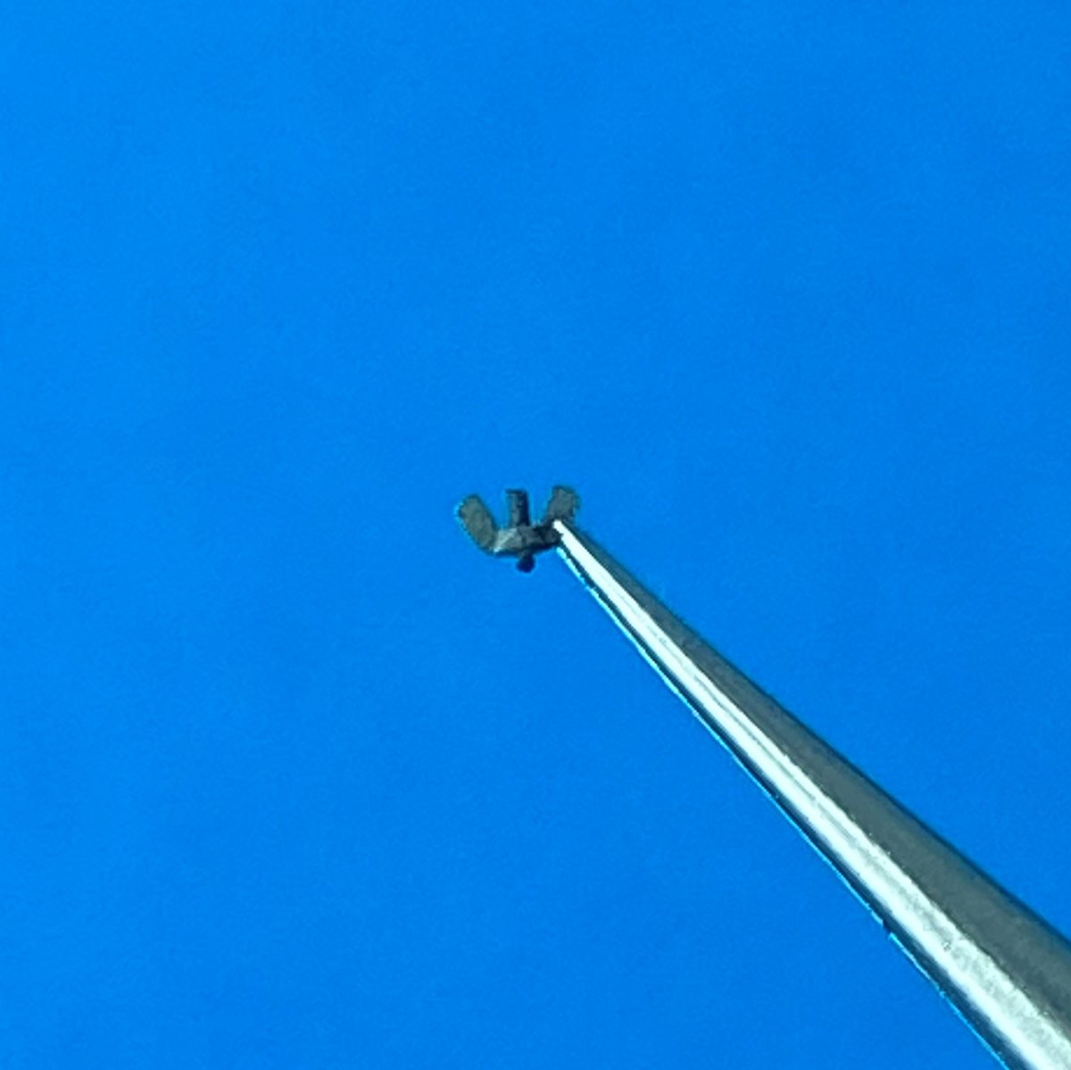 Point of no Return 1623001 M6 wing nuts 1/16 – obrázek 3