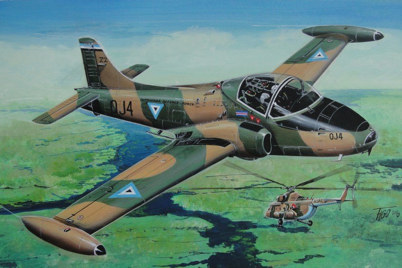 Fly 48016 BAC 167 Strikemaster Jet Provost T.5/T.5A 1/48 – image 2