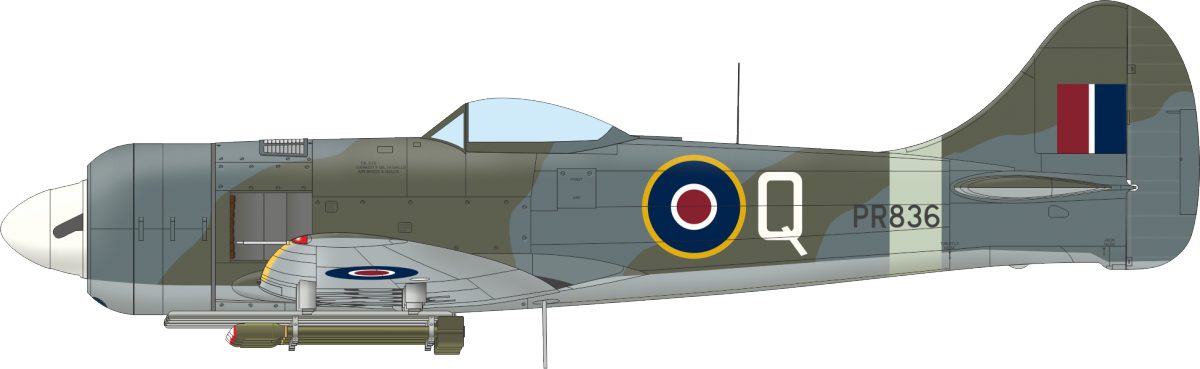 Eduard 11164 The Ultimate Tempest Limited Edition 1/48 – image 15