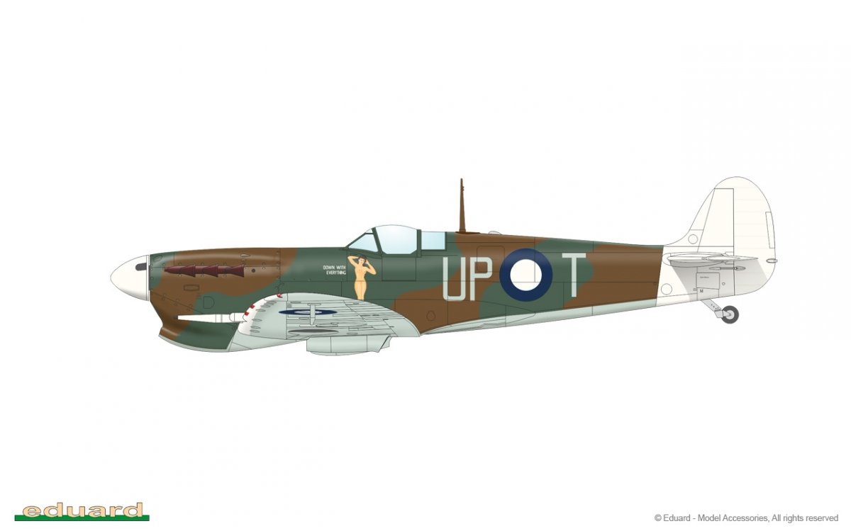 Eduard 82126 Spitfire Mk. Vc TROP 1/48 – image 9