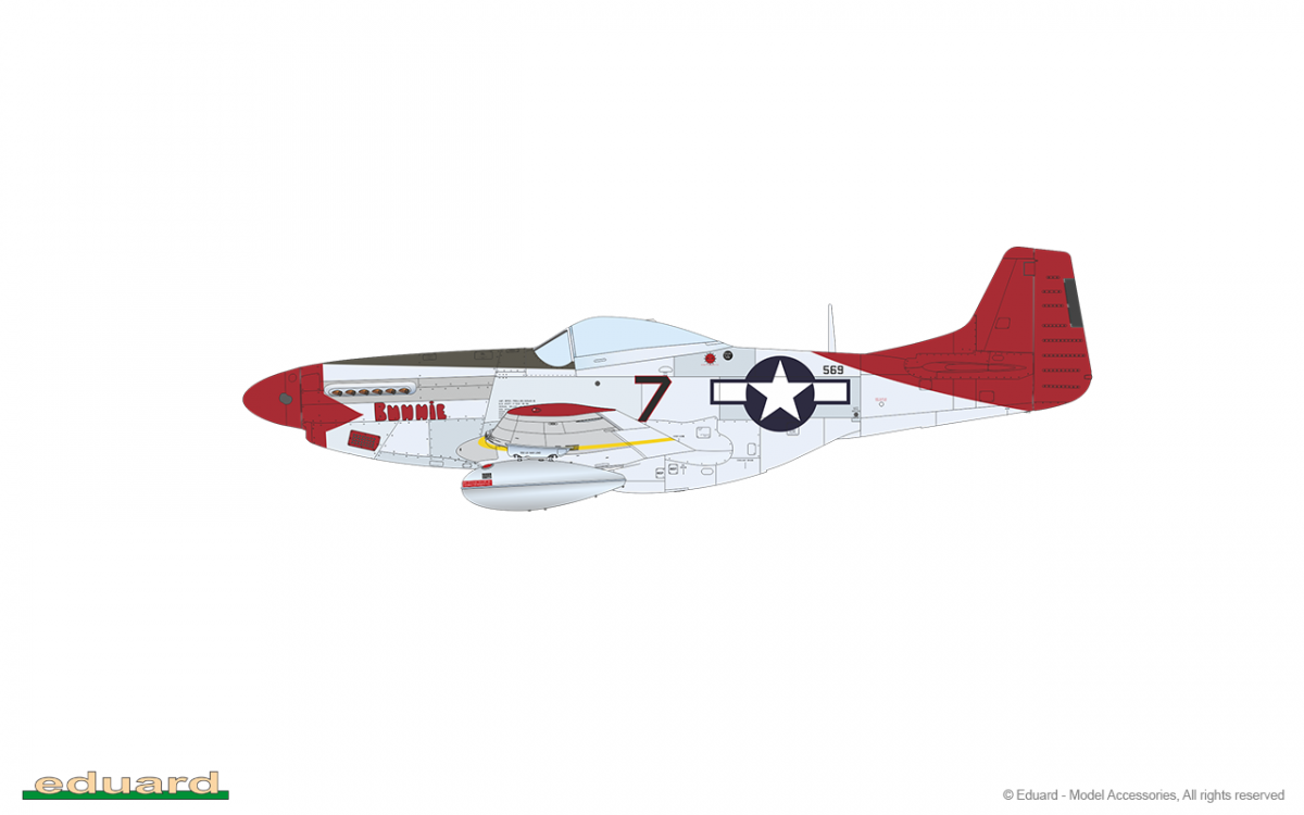 Eduard 11159 RED TAILS &amp;amp; Co. DUAL COMBO 1/48 – imagen 23