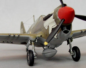Hasegawa A9 P-40N Warhawk 1/72 – immagine 14