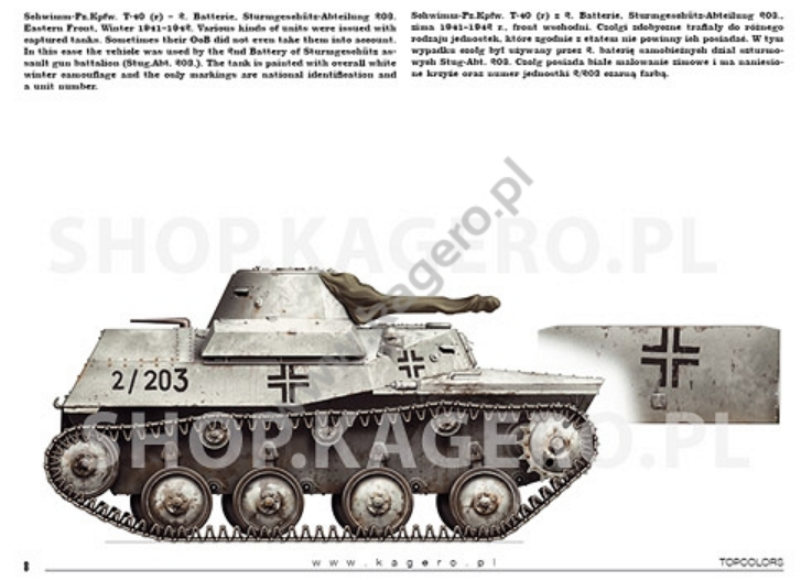 Kagero 15041 Beutepanzer (decals) PL/EN – immagine 3