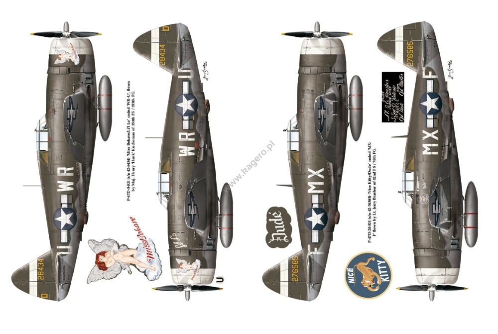 Kagero 12015 Thunderbolts of the US 8th Army Air Force March 1943 - February 1944 EN – Bild 4