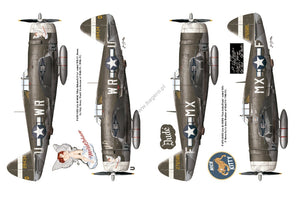 Kagero 12015 Thunderbolts of the US 8th Army Air Force March 1943 - February 1944 EN – Bild 4