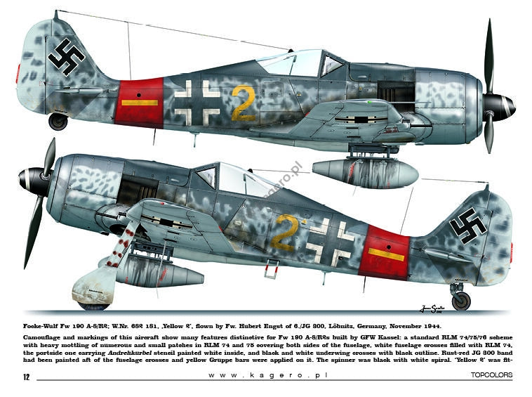 Kagero 15035 Fw 190s over Europe Part I (decals) EN/PL – Bild 3