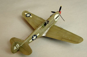 Hasegawa A9 P-40N Warhawk 1/72 – immagine 7