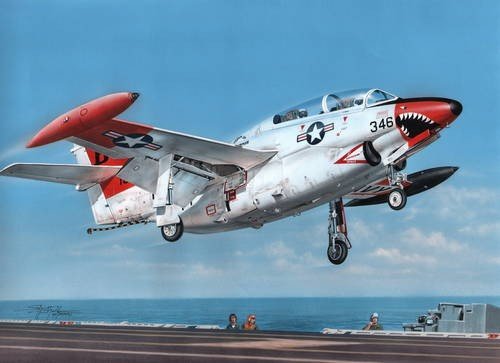 Special Hobby 48119 T-2 Buckeye Red &amp;amp; White Trainer (1/48)