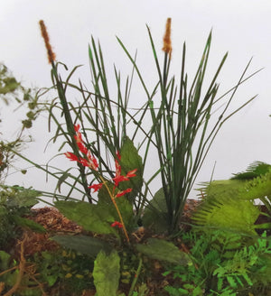 RT-Diorama 35620 Jungle Grass 1/35 – Bild 5