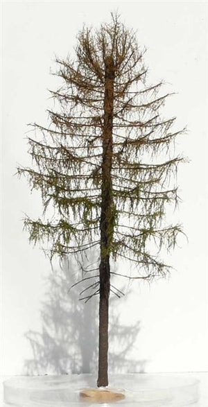 FREON MSU4 Larch - Dry larch, height 28 cm