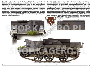 Kagero 15041 Beutepanzer (decals) PL/EN – immagine 4