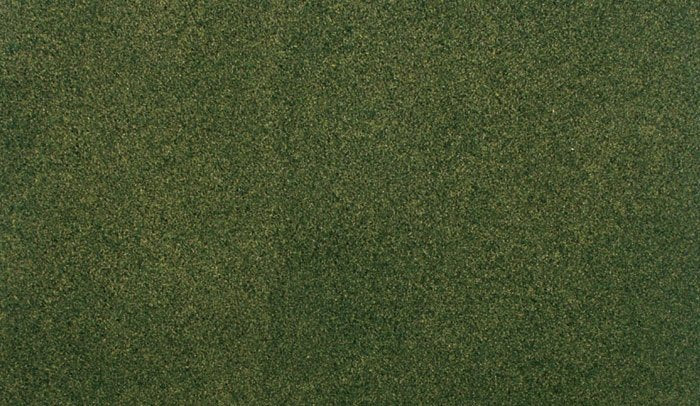 Woodland Scenic RG5143 Forest Grass Project (31.7 x 35.8 cm)