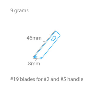 Modelcraft PKN2719 #19 Angled Chiselling Blades x 5 For #2 or #5 Handles – obrázek 2