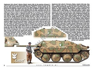 Kagero 15039 Captured Panzers German Vehicles in Allied Service (kalkomania) PL/EN – zdjęcie 6