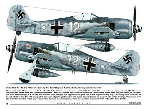 Kagero 15035 Fw 190s over Europe Part I (decals) EN/PL – Bild 2
