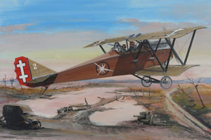 Fly 48010 Ansaldo SVA10 1/48