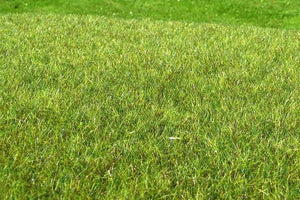 Model scene F011 Wetland middle – image 2
