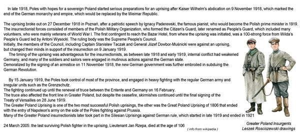ToRo Model 35F119 Greater Poland Uprising 1918 - Insurgent Post Commander / Greater Poland Uprising 1918 Insurgent Post Commander 1/35 – image 3