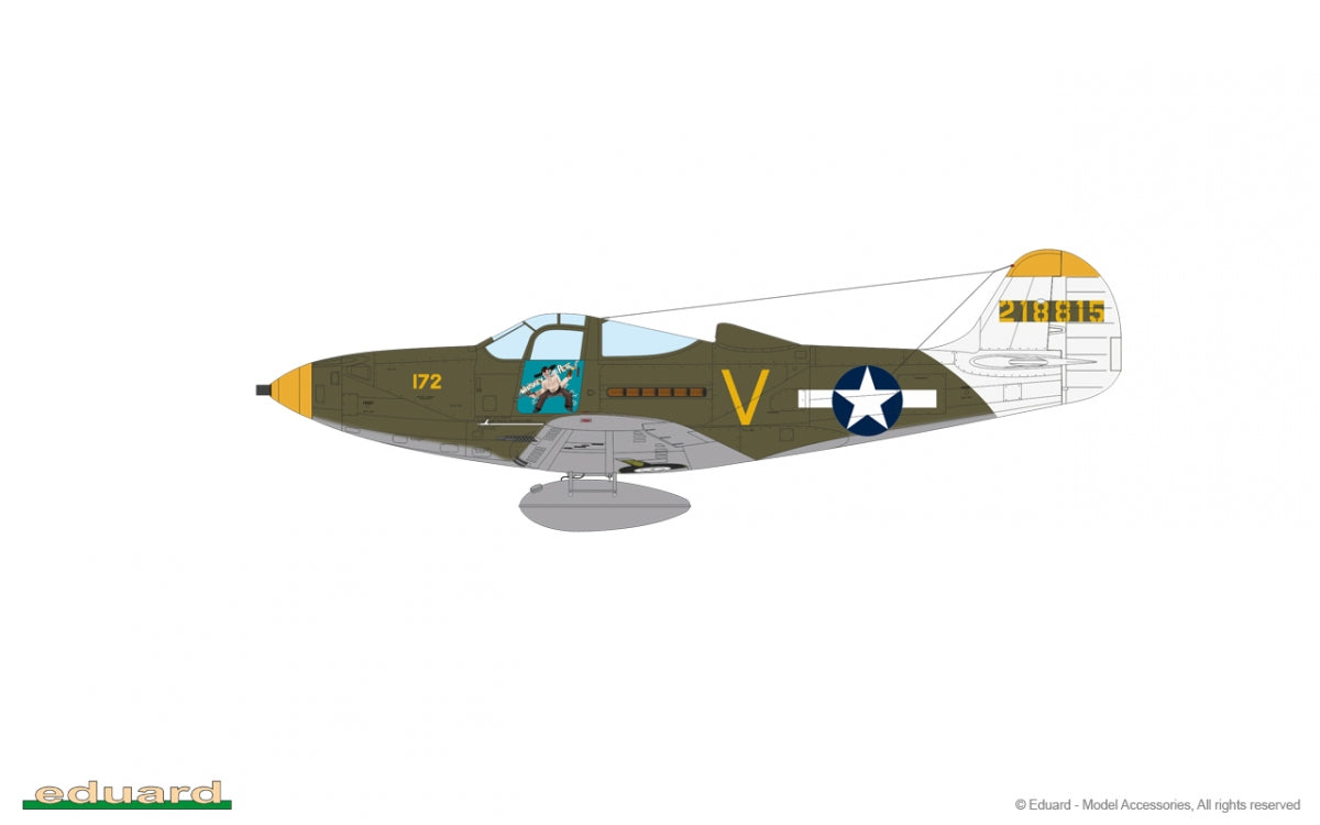 Eduard 8067 P-39N ProfiPack 1/48 – immagine 14