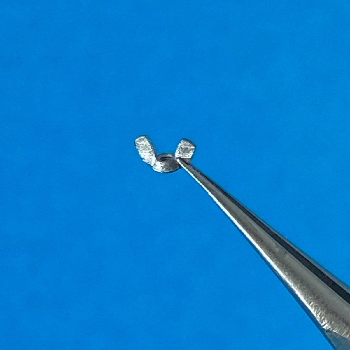 Point of no Return 1623003 M10 wing nuts 1/16 – image 5