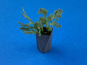 Point of no Return 3522031 Garden Pots 1/35 – imagen 8