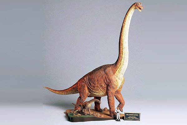 Tamiya 60106 Brachiosaurus Diorama Set – immagine 2