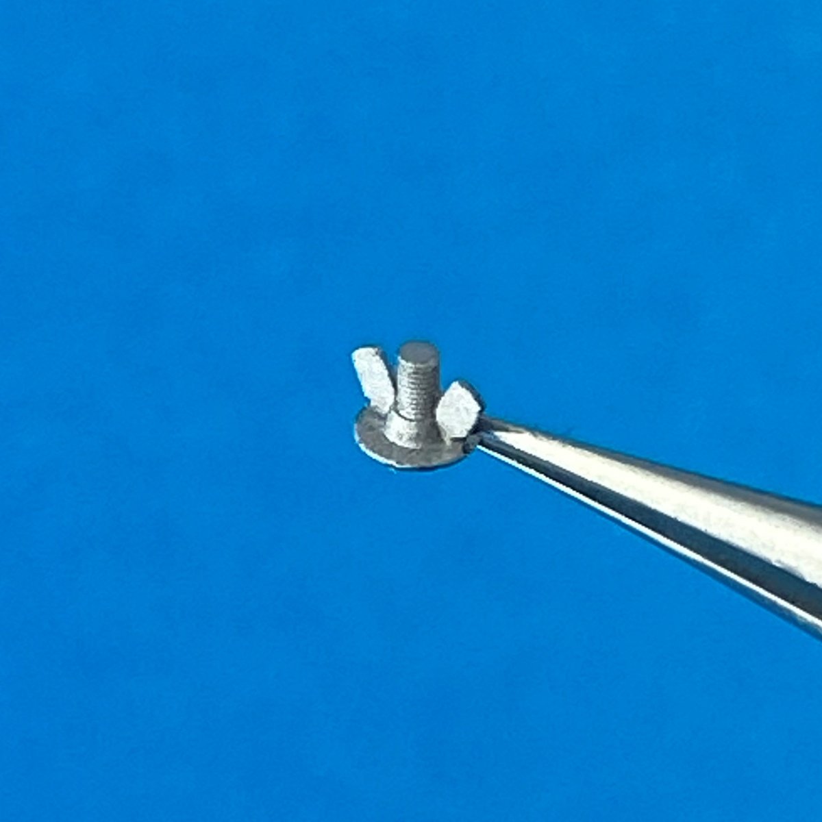 Point of no Return 1623004 M12 wing nuts 1/16 – image 3