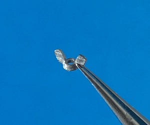 Point of no Return 1623006 M16 wing nuts 1/16 – image 6