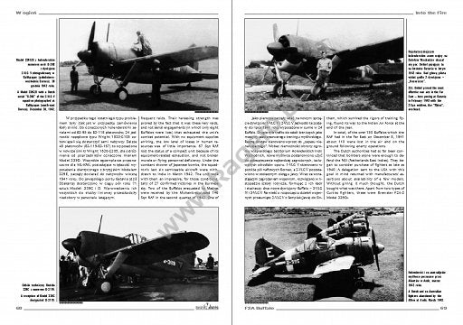 Kagero 3002 Brewster F2A Buffalo EN/PL (no decals) – image 2