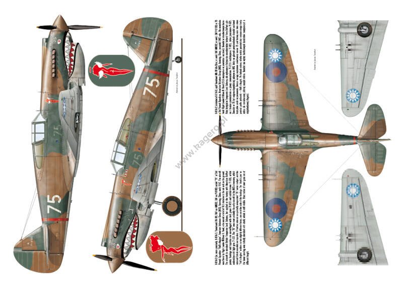 Kagero 3036 Curtiss P-40 vol. I EN – obrázek 3