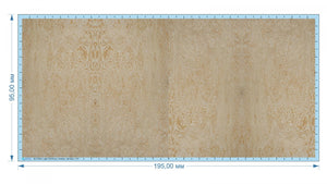 Quinta Studio QL72004 Light plywood, shaded 1/72 – immagine 11