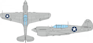 Eduard EX1120 P-40E Insigne national américain circulaire EDUARD 1/48