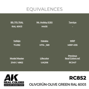 AK Interactive RC852 Olivgrün-Olive Green RAL 6003 17 ml – image 3