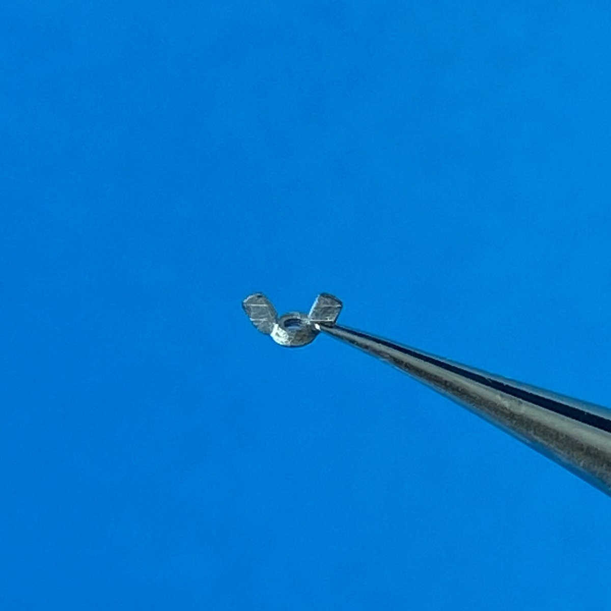 Point of no Return 1623004 M12 wing nuts 1/16 – image 5