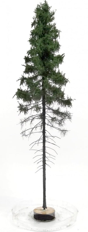 FREON SGPW1 Mountain Spruce - hight 28-30 cm