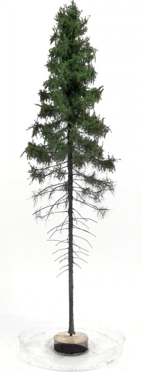 FREON SGPW1 Mountain Spruce - hight 28-30 cm