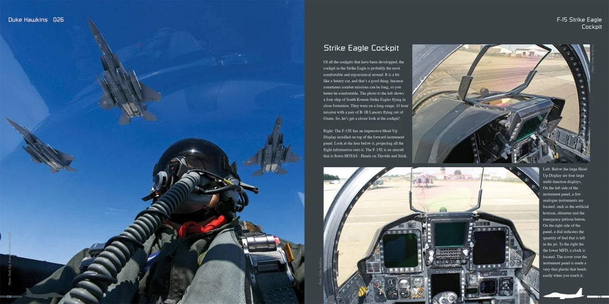 HMH Publications DH-026 Boeing F-15 E/K/SG Strike Eagle - Aircraft in Detail 026 (English Version) – image 6